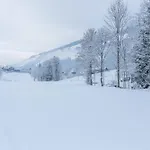 Апартаменты Schwuewong - 04 *