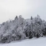 Апартаменты Schwuewong - 04 *